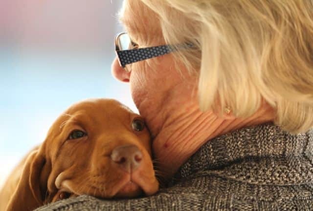Terapia Asistida con Animales en Pacientes con Trastorno Neurocognitivo